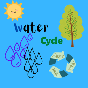 play Water Cycle - Level 1
