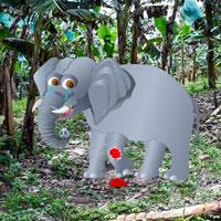 play Cure The Baby Elephant Html5