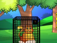 play Rescue The Golden Cat