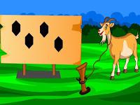play G2M Rescue The Goat 2 Html5