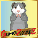 play G2E Cute Guinea Pig Rescue Html5