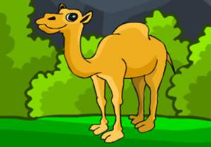play Rescue The Hungry Camel