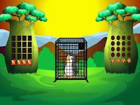 play G2L Penguin Rescue 1 Html5