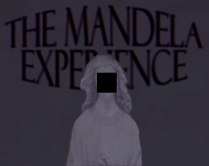 play The Mandela Experience