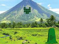 play Mayon Volcano Nature Forest Escape