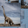 play Brontosaurus Jigsaw Puzzle