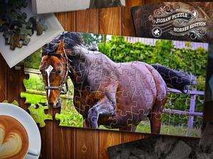 play Jigsaw Puzzle Horses Edition