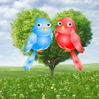 play Wow-Rescue The Love Birds Html5