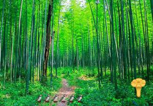play Bamboo Forest Escape