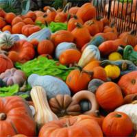 Thanksgiving-Pumpkin-Fun-Escape
