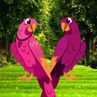 play G2R-Pinky Bird Pair Escape Html5