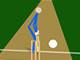 play Stick Cricket