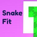 play Snake Fit