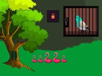 play G2L Help To Rescue The Bird Html5