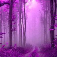 play Big-Soothing Purple Forest Escape Html5