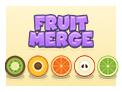 play Fruit Merge