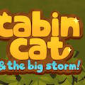 play Cabin Cat & The Big Storm