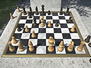 play Chess In The Park