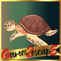 play G2E Find Sunglass For Sad Tortoise Html5