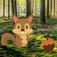 play Stream Forest Escape Html5