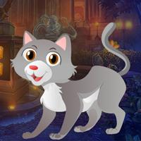 play Chase-Cat-Rescue