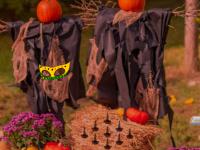 play Halloween Pumpkin Land Escape