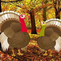 play Big-Find The Turkey Pair Html5