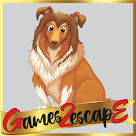 play G2E Hungry Brown Dog Rescue Html5