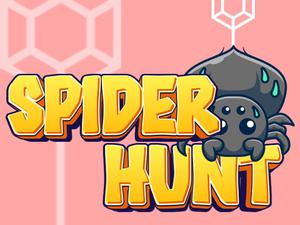 play Spider Hunt