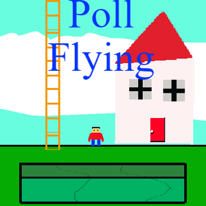 play Poll Flying