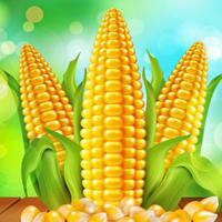 play Giant Corn Land Escape Html5