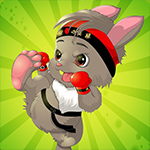 play Karate Bunny Escape