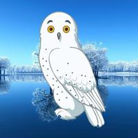 play Wow-Winter Owl Forest Escape Html5