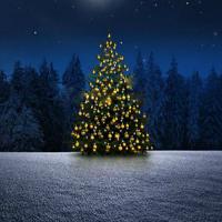 play Wow-Escape From Christmas Tree Land Html5