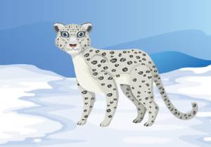 play Find Christmas Cap Of Snow Leopard