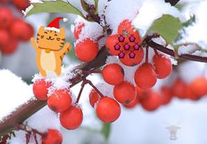 Christmas Cats Berry Forest Escape