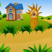 play Forest-Modern-House-Escape