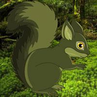 play Japanese Forest Squirrel Escape Html5