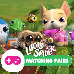 play Lucas The Spider Matching Pairs