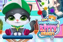 play Doc Honeyberry Kitty Surgery