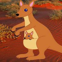 play Help To The Kangaroo Html5