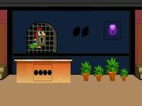 play G2L Rescue The Parrot 1 Html5