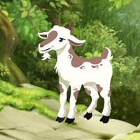 play Searching Goat Child Html5