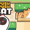 play Push Push Cat