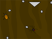 play Spider Terrarium
