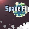 play Space Flight