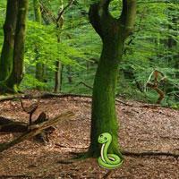 play G2R-Nature Wooden Forest Escape Html5