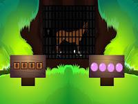 play G2L Find The Horse Html5