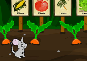play Marly Mouse Escape Garden
