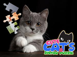 play Cute Cats Jigsaw Puzzle